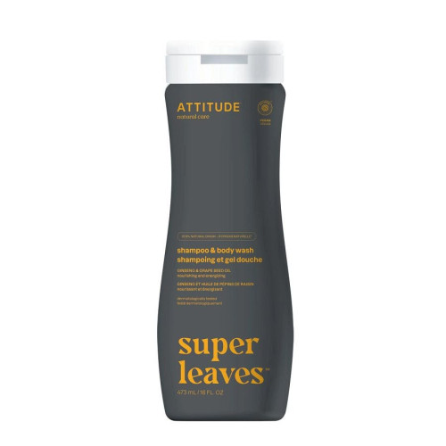 Attitude Men's Leaves 2-in-1 Sport Shampoo & Body Wash 16 fl. oz.